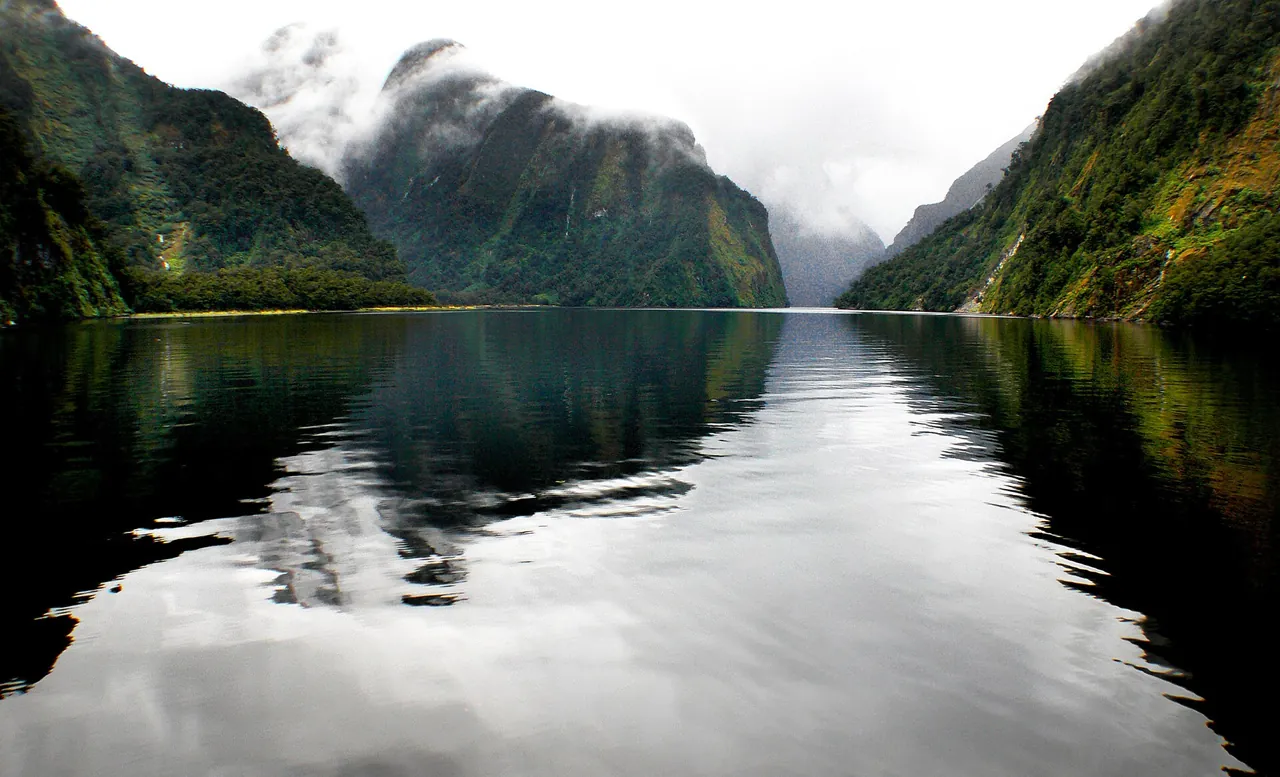 A calm fiord reflecting steep forested walls and drifting cloud