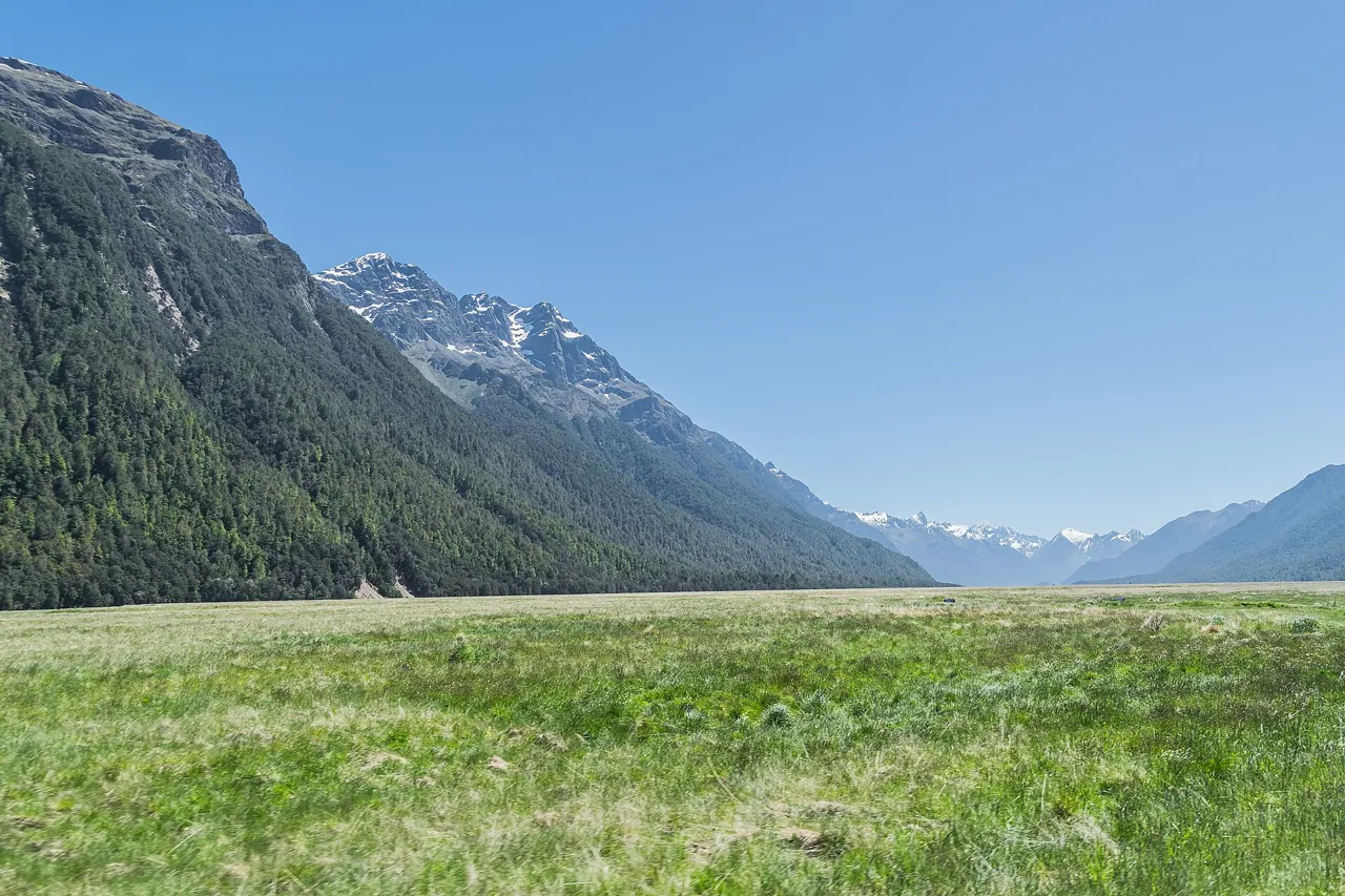 Der flache grüne Talboden des Eglinton Valley mit bewaldeten Bergen auf beiden Seiten