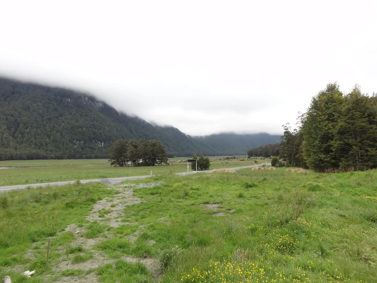 Open grassy flats with a few trees and bush-covered hills under low grey cloud